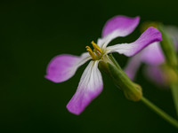 P1192437