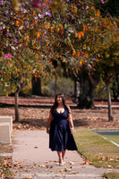 DSC02613a